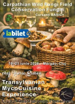 Cluj-Napoca: Transylvanian MycoCuisine Experience – Slow‑release foods