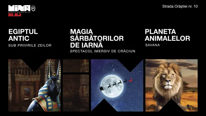 Egiptul Antic + Planeta Animalelor + Magia Sărbătorilor de Iarnă