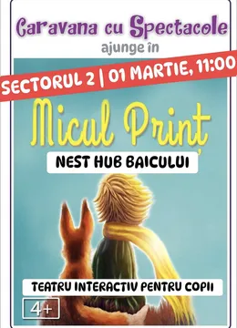 Micul Prinț @ Nest Hub Baicului