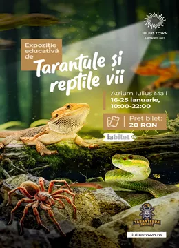Timișoara: Expoziție educativă de Tarantule și reptile vii