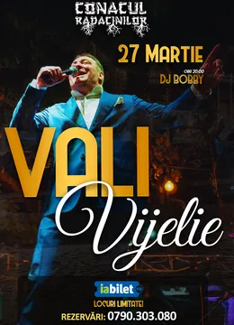 Petrila: Concert Vali Vijelie