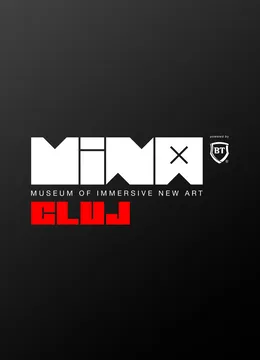 Mina Museum Immersive Shows TESTE