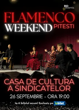 Pitesti: Flamenco Weekend