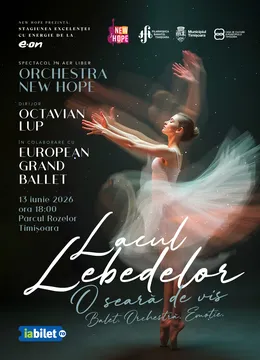 Timisoara: Lacul Lebedelor