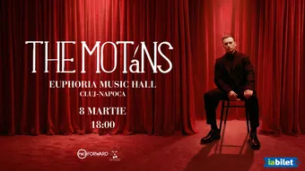 Cluj-Napoca: The Motans