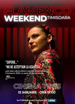 Timisoara: Flamenco Weekend