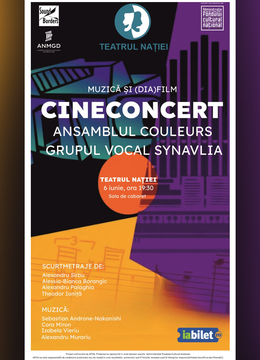 Ploiești: Cine-concert ~ dialog între imagine și sunet
