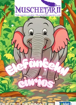 Constanta: Elefantelul curios