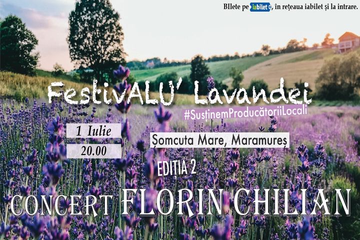 Concert Florin Chilian la FestivALU’ Lavandei