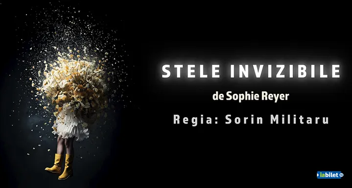Petrosani: Stelele Invizibile