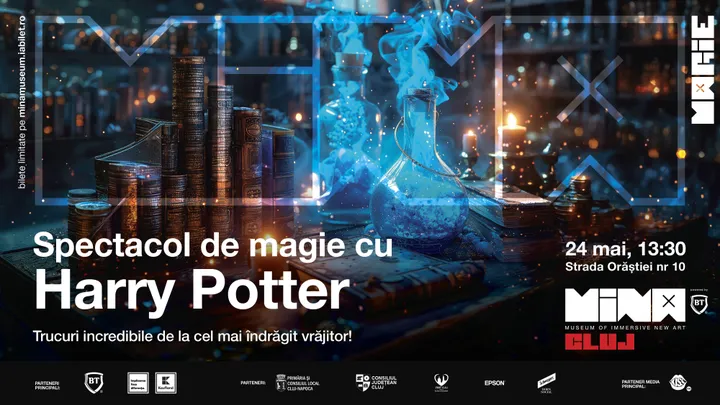 Spectacol de magie cu Harry Potter