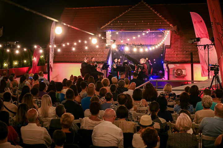 Sibiu: Musica Viva @ Concerte pe Acoperiș