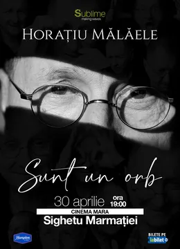 Sighetu Marmatiei: Horatiu Malaele - Sunt un Orb