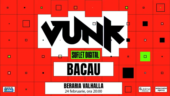VUNK @ Bacau - SUFLET DIGITAL