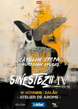 Zalau: Sinestezii IV cu Cătălin Stepa și Aurelian Epuraș