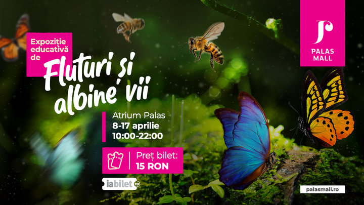 Iasi: Expozitie educativa “Fluturi si Albine”