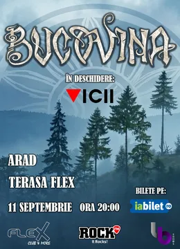 Arad: Concert Bucovina