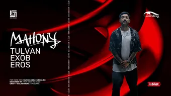 Timisoara: database x Undertheivy w. Mahony