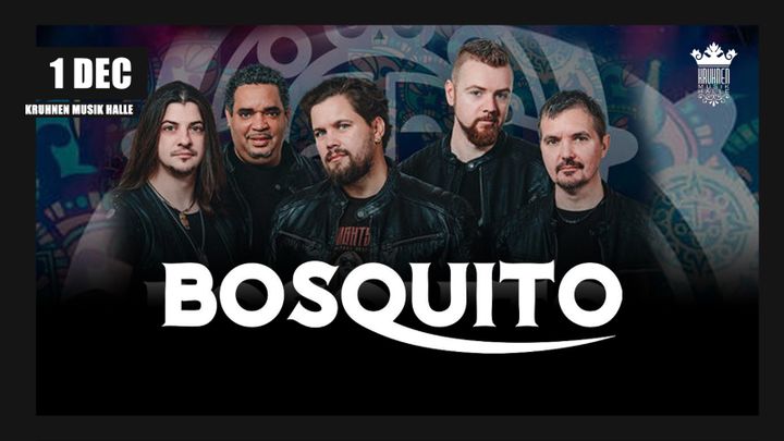 Brasov: Concert Bosquito