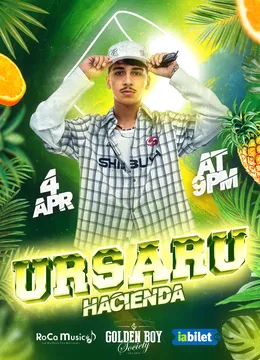 Brașov: Ursaru x Mellow Parties