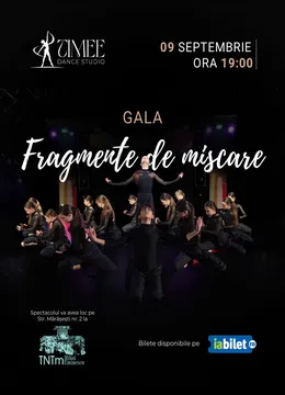 Timisoara: Fragmente de miscare