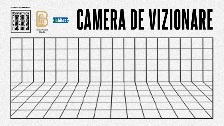Bistrița: Camera de vizionare - Spectacol de teatru-dans