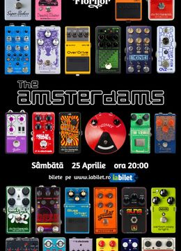 The Amsterdams în concert la Terasa Florilor