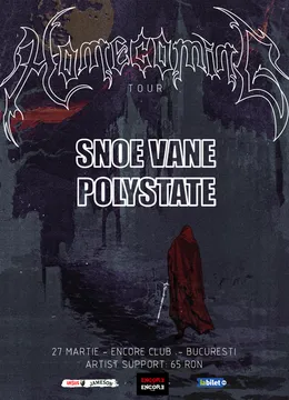 Concert Snoe Vane x Polystate