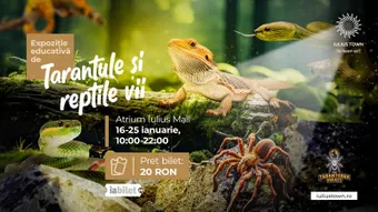 Timișoara: Expoziție educativă de Tarantule și reptile vii