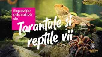 Iași: Expoziție educativă de Tarantule și Reptile vii