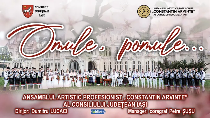 Iasi: Omule, pomule...