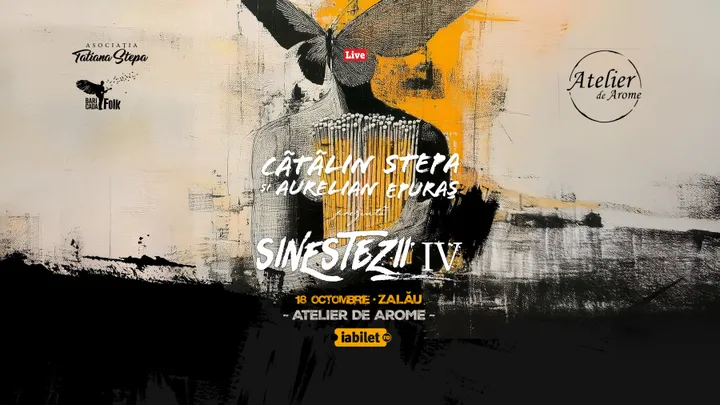 Zalau: Sinestezii IV cu Cătălin Stepa și Aurelian Epuraș
