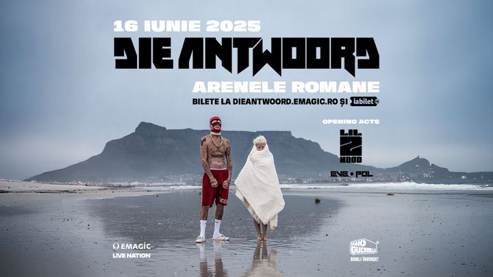 DIE ANTWOORD
