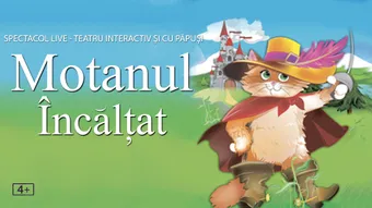 Motanul Încălțat @ Hard Rock Cafe București