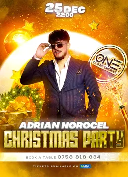 Adrian Norocel - Christmas Party