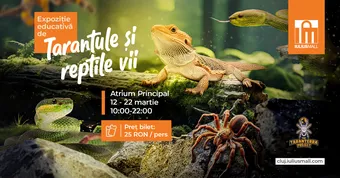 Cluj-Napoca: Expoziția educativă de tarantule și reptile vii