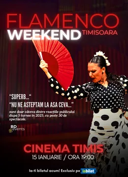 Timisoara: Flamenco Weekend