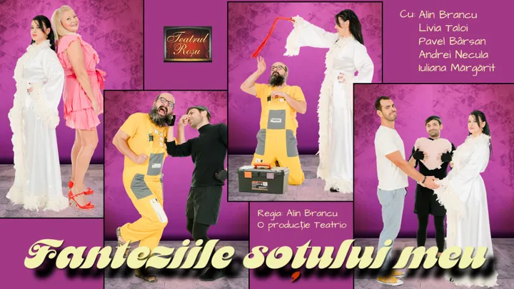 Fanteziile soțului meu