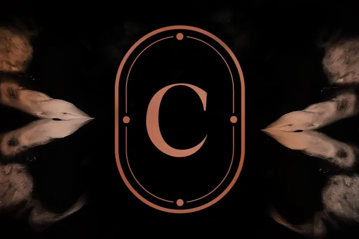 Classix Concert :: Treeline || Iași