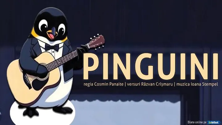 Suceava: Pinguini