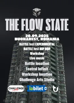 The Flow State