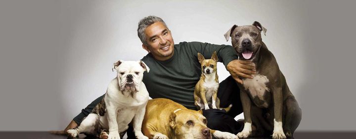 Cesar Millan Live - Once Upon a Dog
