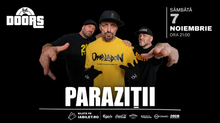 Costinesti: Concert Parazitii