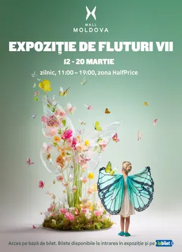 Iași: Expoziție de fluturi vii