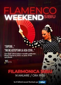 Sibiu: Flamenco Weekend