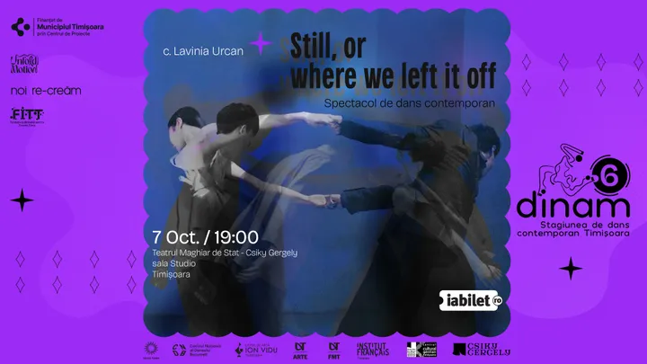 Timisoara: Dans contemporan: Still, or where we left it off