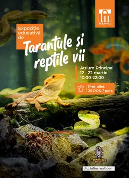 Cluj-Napoca: Expoziția educativă de tarantule și reptile vii