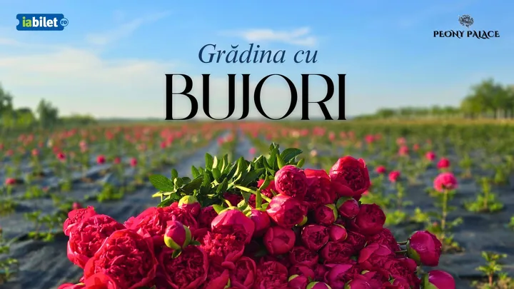 Mărginenii de Sus: Portile Deschise In Gradina cu Bujori - 16-17 Mai