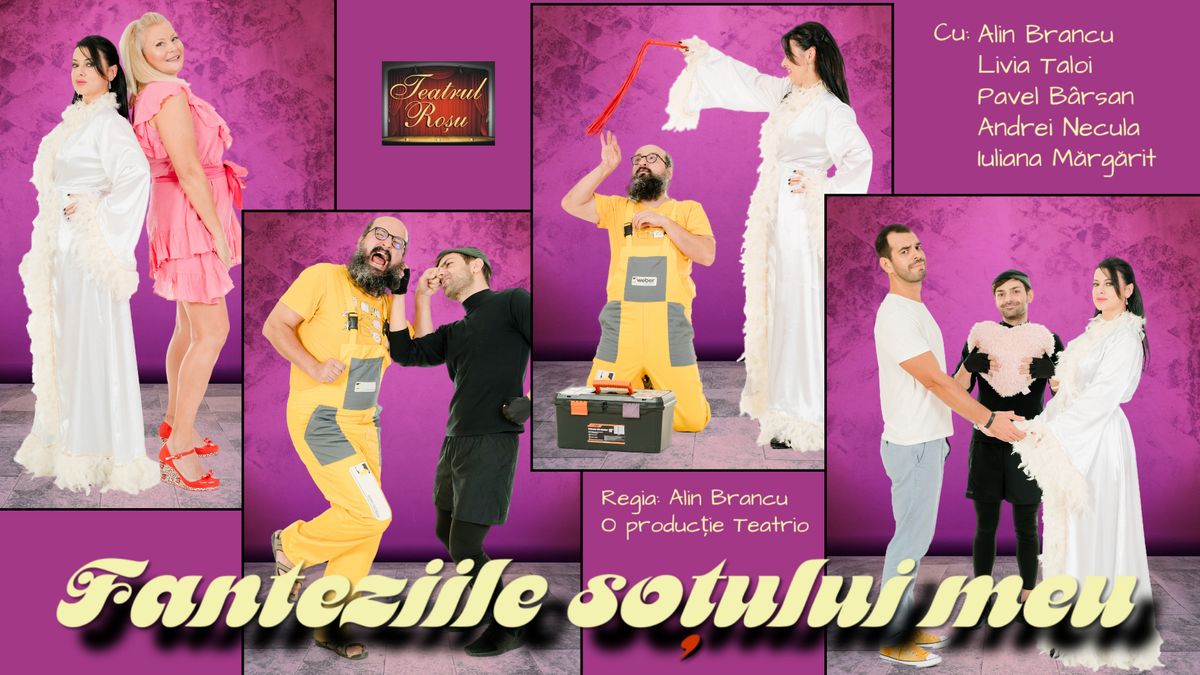 Fanteziile soțului meu