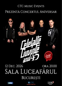 Concert aniversar Celelalte Cuvinte
